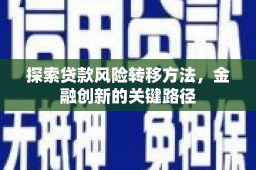 瑞芳探索贷款风险转移方法，金融创新的关键路径