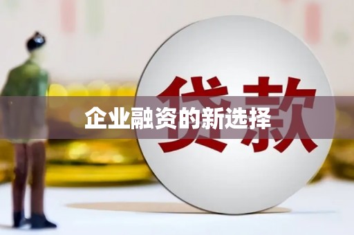 瑞芳企业融资的新选择