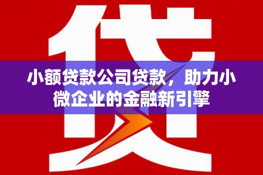 瑞芳小额贷款公司贷款，助力小微企业的金融新引擎