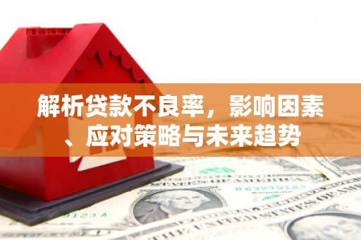 瑞芳解析贷款不良率，影响因素、应对策略与未来趋势