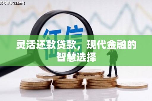 瑞芳灵活还款贷款，现代金融的智慧选择