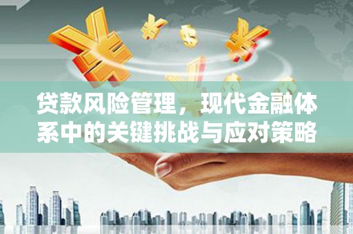 瑞芳贷款风险管理，现代金融体系中的关键挑战与应对策略