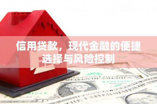 瑞芳信用贷款，现代金融的便捷选择与风险控制