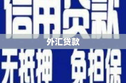 瑞芳外汇贷款