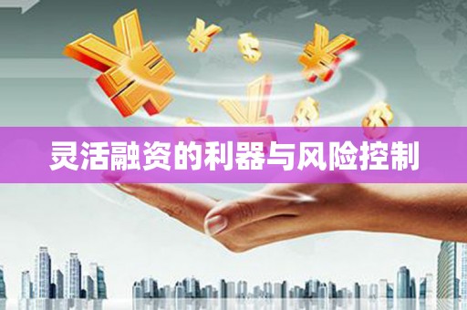 瑞芳灵活融资的利器与风险控制