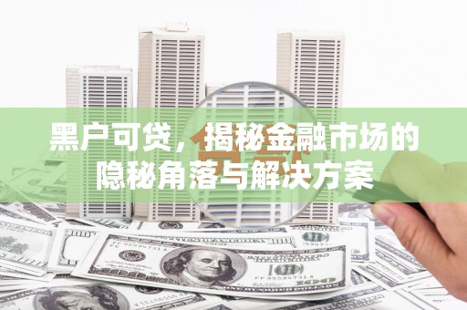 瑞芳黑户可贷，揭秘金融市场的隐秘角落与解决方案