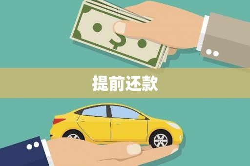瑞芳提前还款