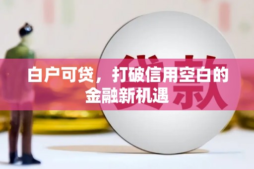 瑞芳白户可贷，打破信用空白的金融新机遇