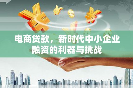 瑞芳电商贷款，新时代中小企业融资的利器与挑战