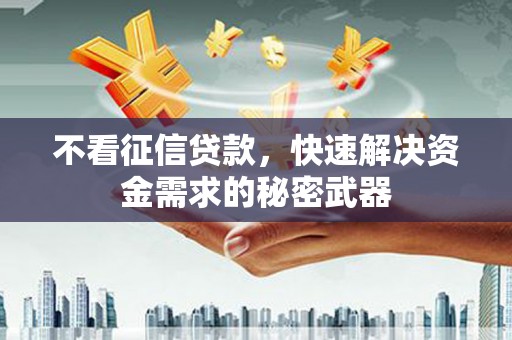 瑞芳不看征信贷款，快速解决资金需求的秘密武器