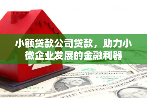 瑞芳小额贷款公司贷款，助力小微企业发展的金融利器