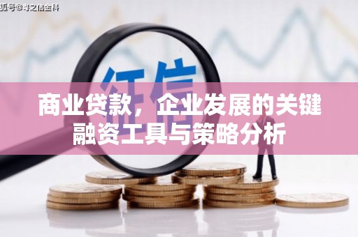 瑞芳商业贷款，企业发展的关键融资工具与策略分析