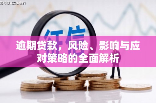 瑞芳逾期贷款，风险、影响与应对策略的全面解析