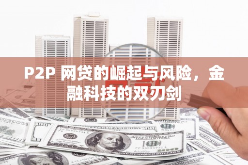 瑞芳P2P 网贷的崛起与风险，金融科技的双刃剑