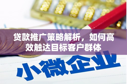 瑞芳贷款推广策略解析，如何高效触达目标客户群体