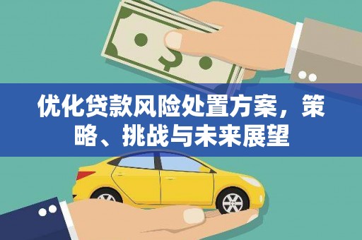 瑞芳优化贷款风险处置方案，策略、挑战与未来展望