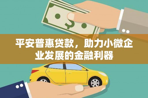 瑞芳平安普惠贷款，助力小微企业发展的金融利器