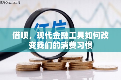瑞芳借呗，现代金融工具如何改变我们的消费习惯