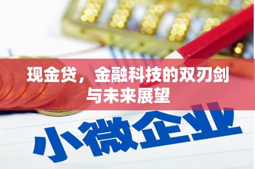 瑞芳现金贷，金融科技的双刃剑与未来展望
