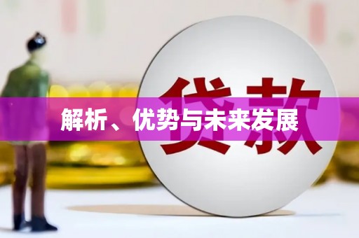 瑞芳解析、优势与未来发展