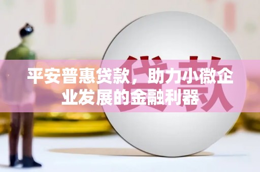 瑞芳平安普惠贷款，助力小微企业发展的金融利器