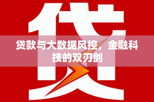 瑞芳贷款与大数据风控，金融科技的双刃剑