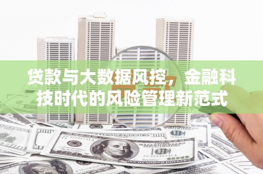 瑞芳贷款与大数据风控，金融科技时代的风险管理新范式