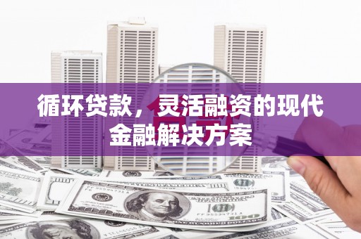 瑞芳循环贷款，灵活融资的现代金融解决方案