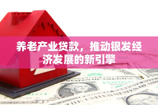 瑞芳养老产业贷款，推动银发经济发展的新引擎