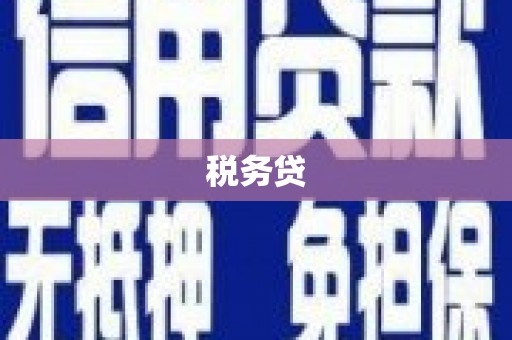瑞芳税务贷