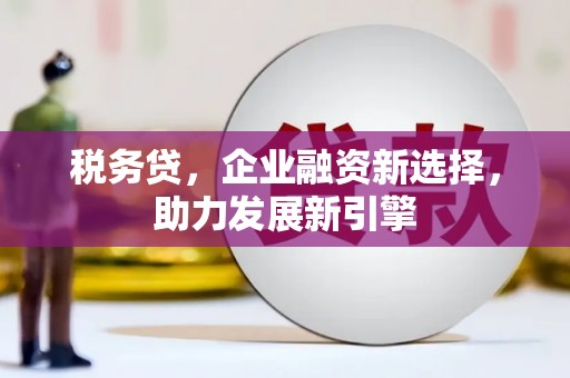 瑞芳税务贷，企业融资新选择，助力发展新引擎