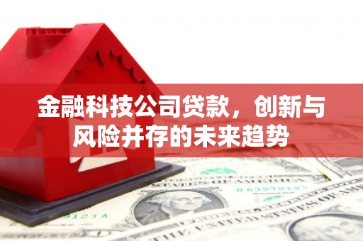 瑞芳金融科技公司贷款，创新与风险并存的未来趋势