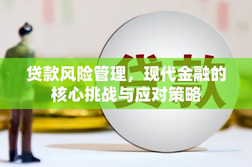 瑞芳贷款风险管理，现代金融的核心挑战与应对策略