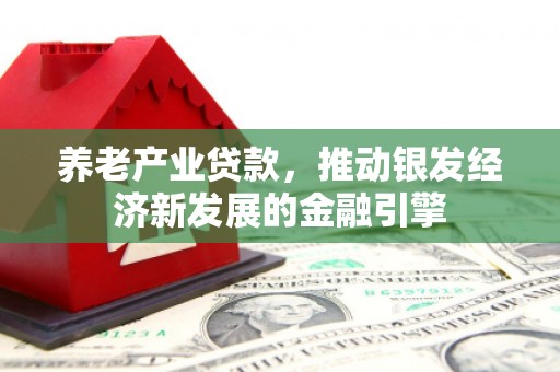 瑞芳养老产业贷款，推动银发经济新发展的金融引擎