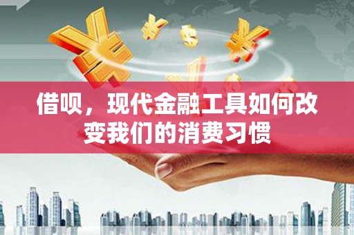 瑞芳借呗，现代金融工具如何改变我们的消费习惯