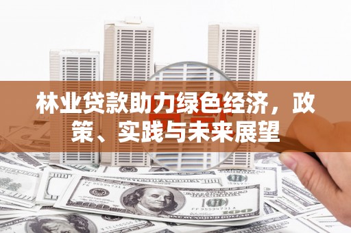 瑞芳林业贷款助力绿色经济，政策、实践与未来展望