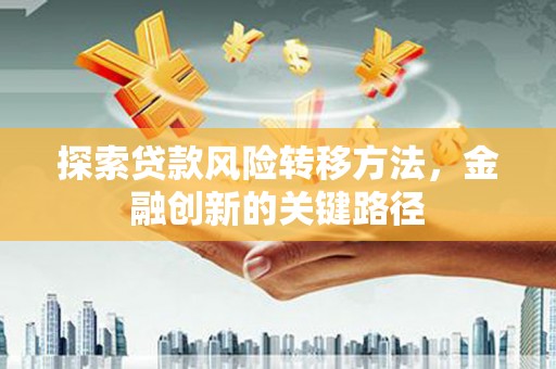瑞芳探索贷款风险转移方法，金融创新的关键路径