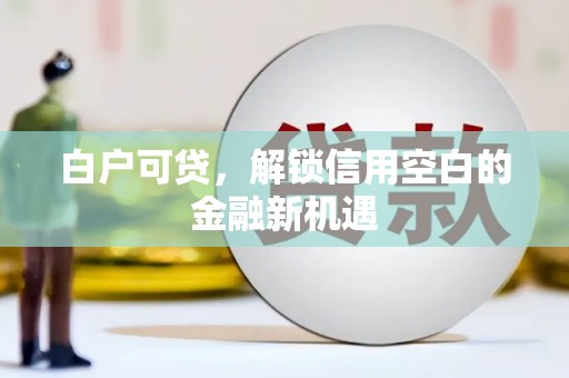 瑞芳白户可贷，解锁信用空白的金融新机遇