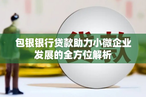 瑞芳包银银行贷款助力小微企业发展的全方位解析