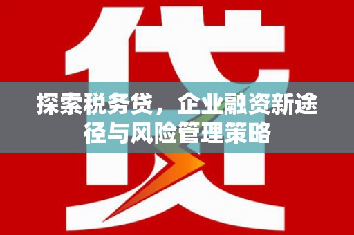 瑞芳探索税务贷，企业融资新途径与风险管理策略
