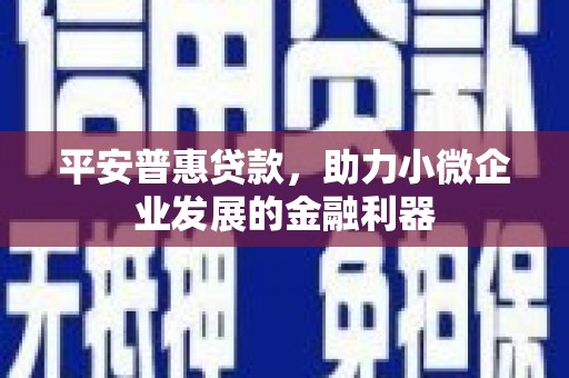 瑞芳平安普惠贷款，助力小微企业发展的金融利器