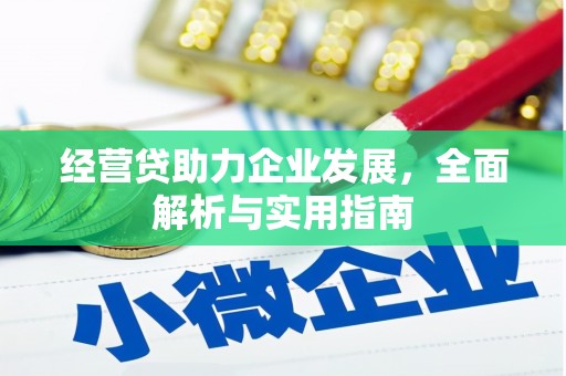 瑞芳经营贷助力企业发展，全面解析与实用指南