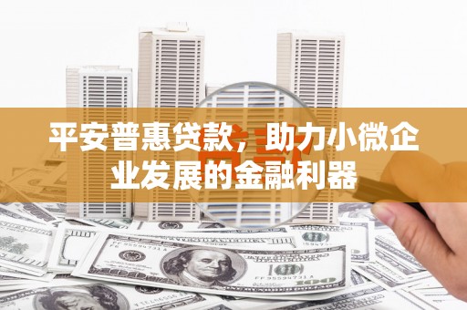 瑞芳平安普惠贷款，助力小微企业发展的金融利器