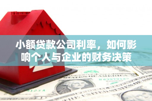 瑞芳小额贷款公司利率，如何影响个人与企业的财务决策