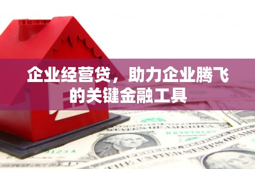 瑞芳企业经营贷，助力企业腾飞的关键金融工具