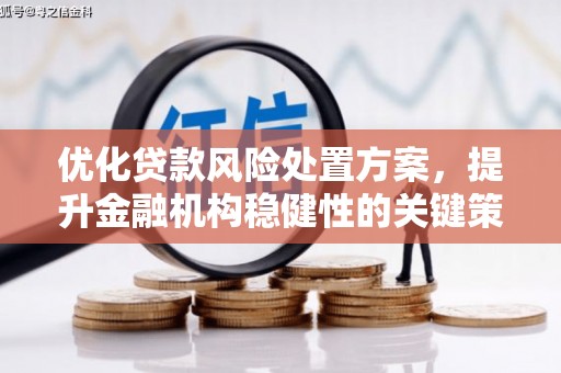 瑞芳优化贷款风险处置方案，提升金融机构稳健性的关键策略