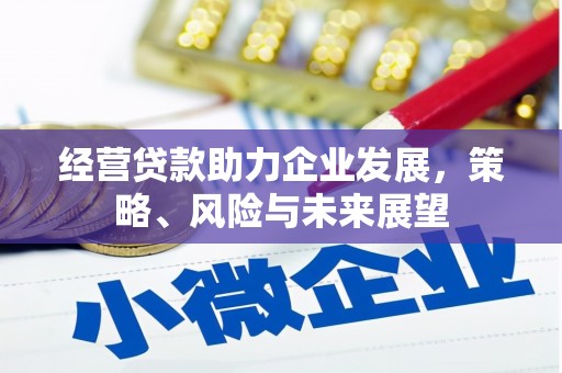 瑞芳经营贷款助力企业发展，策略、风险与未来展望