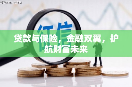 瑞芳贷款与保险，金融双翼，护航财富未来