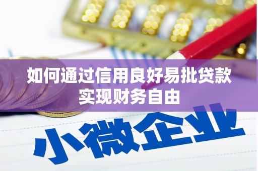 瑞芳如何通过信用良好易批贷款实现财务自由