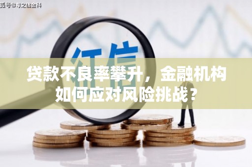 瑞芳贷款不良率攀升，金融机构如何应对风险挑战？